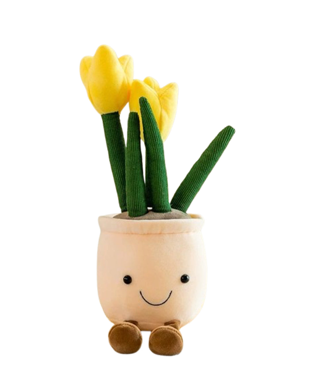 Tulip