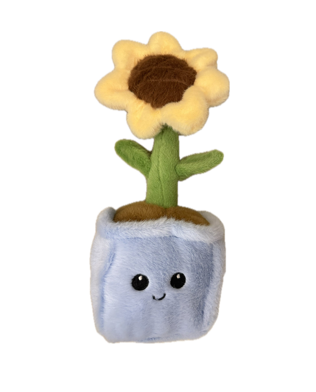 Sunflower Daisy