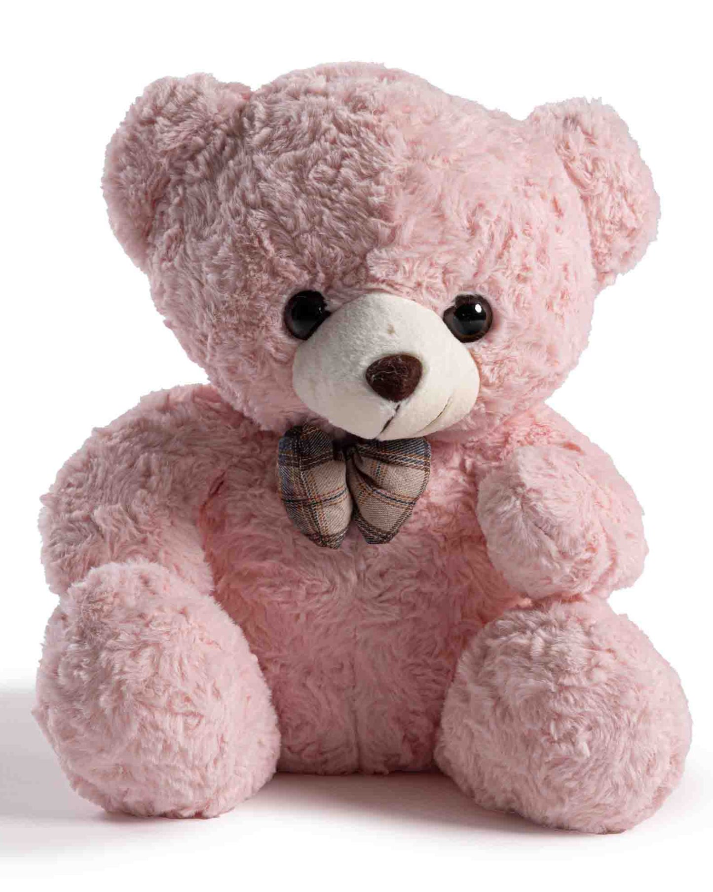 Pink Teddy Bear