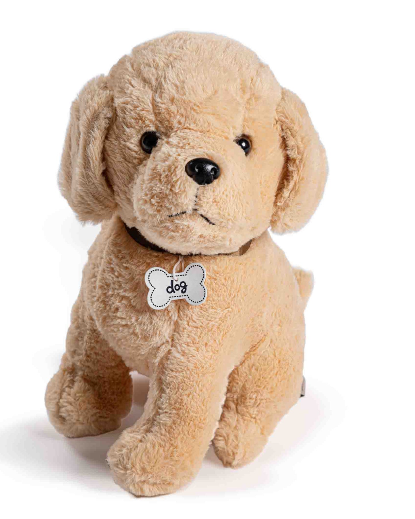 Buster the Dog