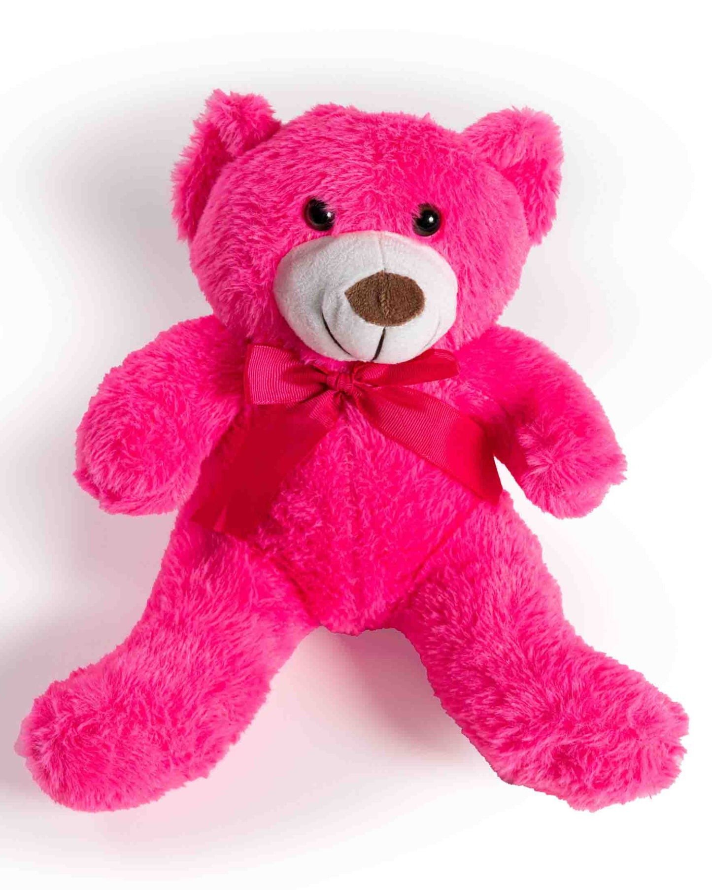 My friendly Teddy