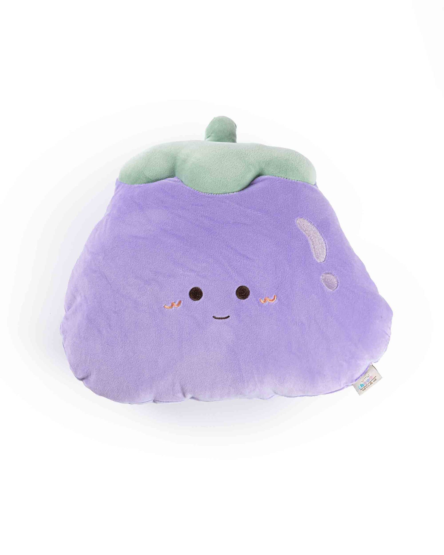 Blueberry Pillow
