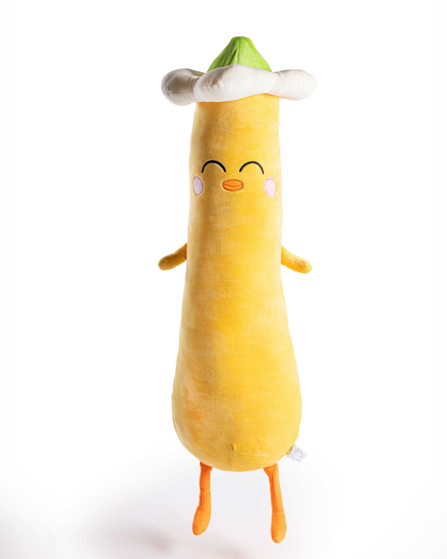 Long Yellow Doodle
