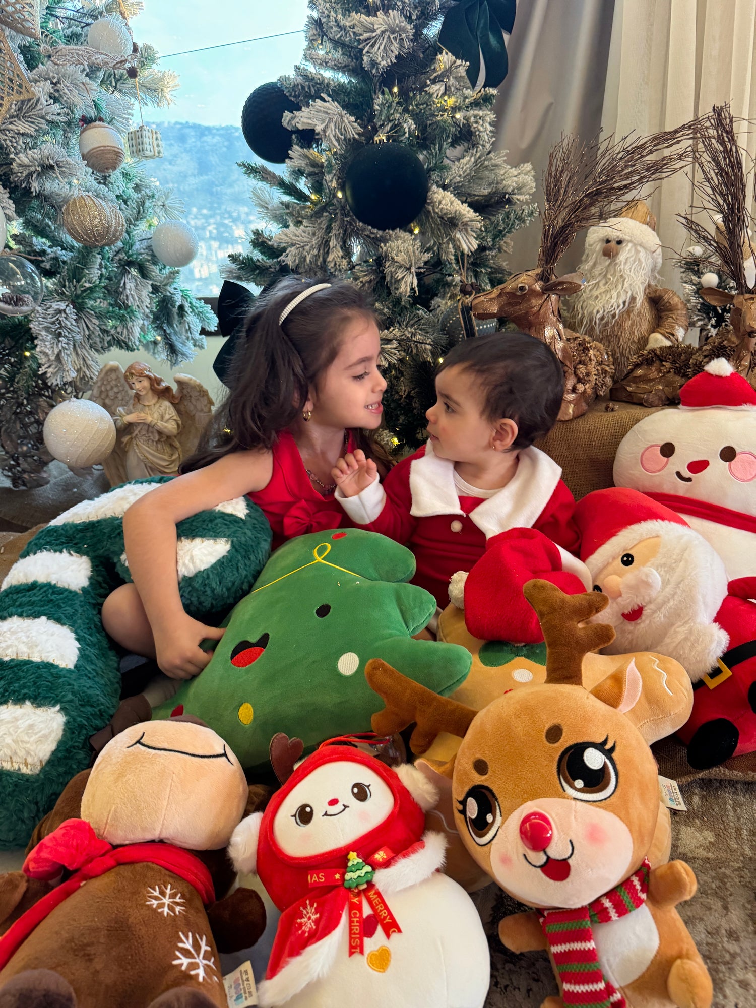 Christmas Collection